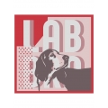 Labbra LSZ34-680-07 платок