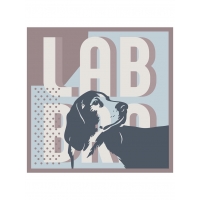 Labbra LSZ34-680-11 платок