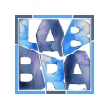 Labbra LSZ34-684-12 платок